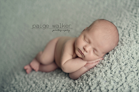 Paige Walker Photography: Lincoln {dallas Fort Worth Newborn ...