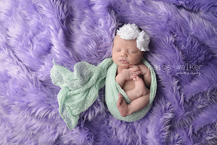 dallas-newborn-photography