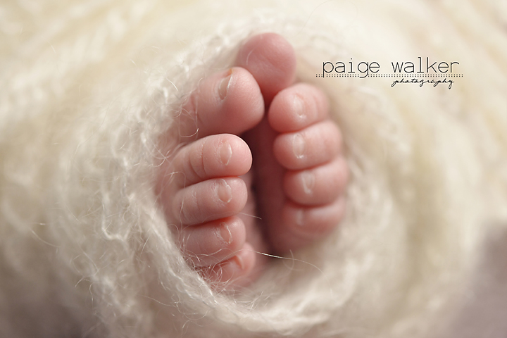 dfw-newborn-photography