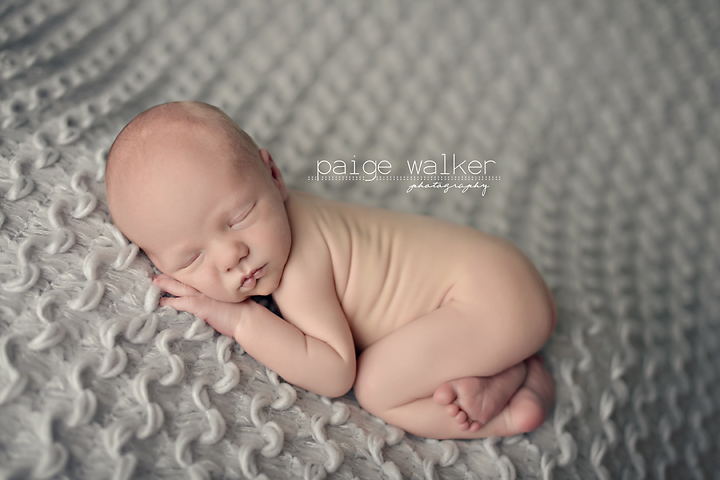 dallas-newborn-photographer copy