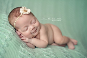 Paige Walker Photography: Newborn Twin Studio Session {fort Worth ...