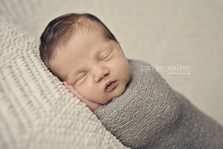 dallas-newborn-photographer copy