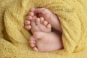 Paige Walker Photography: Newborn Twin Studio Session {fort Worth Newborn Twin Photographer ...