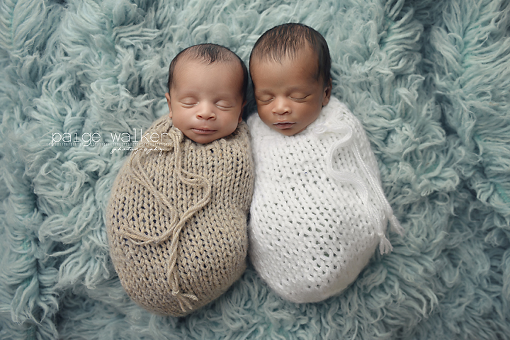 fort-worth-newborn-twin-photographer copy
