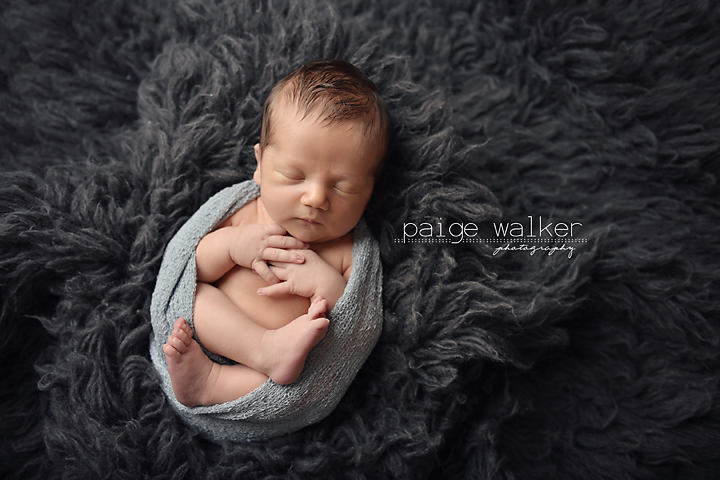 newborn-baby-photographer-dallas copy