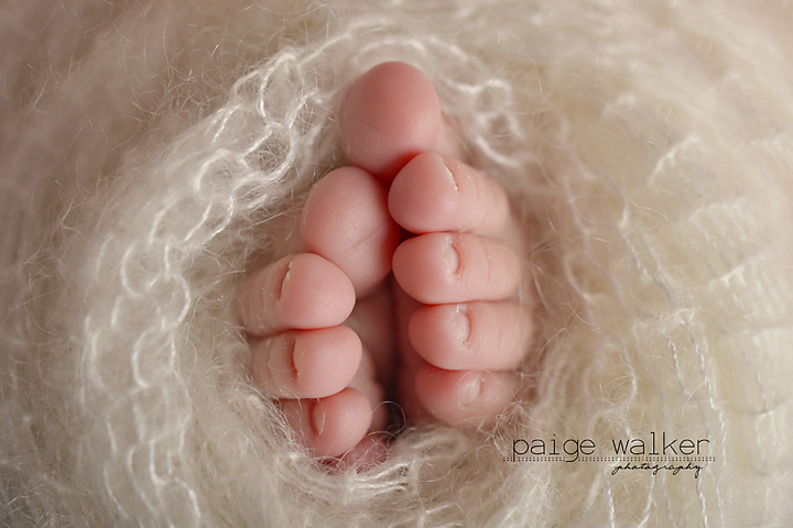 newborn-photography-dallas-fort-worth copy