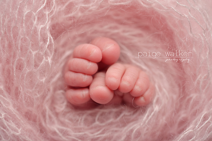 dfw-newborn-photographer copy
