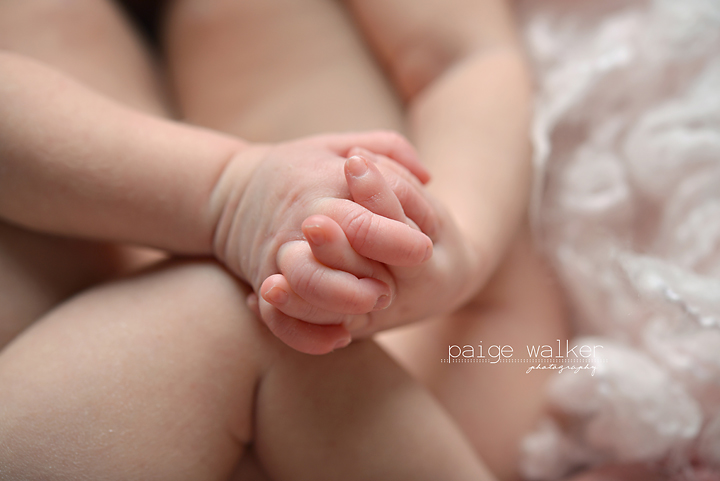 newborn-photography-fort-worth copy