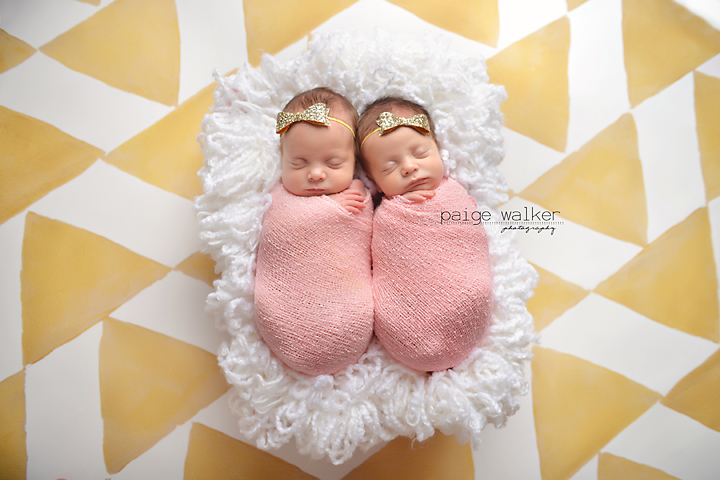 newborn-twin-photographer-fort-worth copy