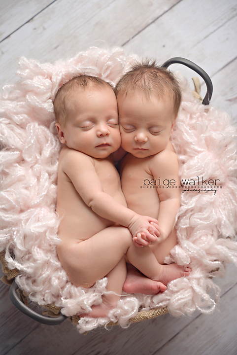 twin-newborn-photography-dallas-fort-worth copy