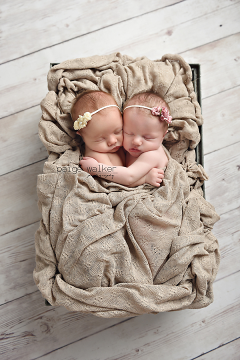 twin-baby-photographer-dallas copy