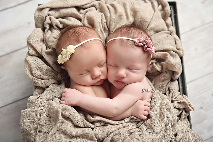 twin-baby-photographer-fort-worth copy