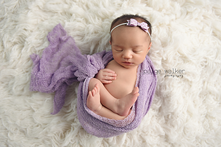 dallas-newborn-photographers   copy