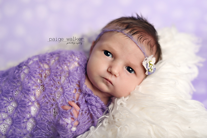 dallas-newborn-photography copy