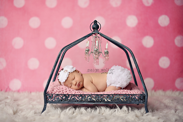 newborn-photography-dallas copy