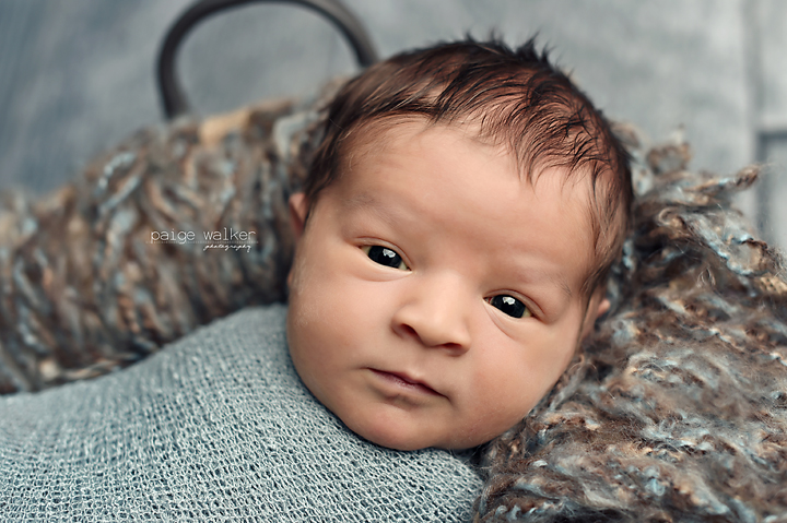 newborn-photographers-dallas-tx copy