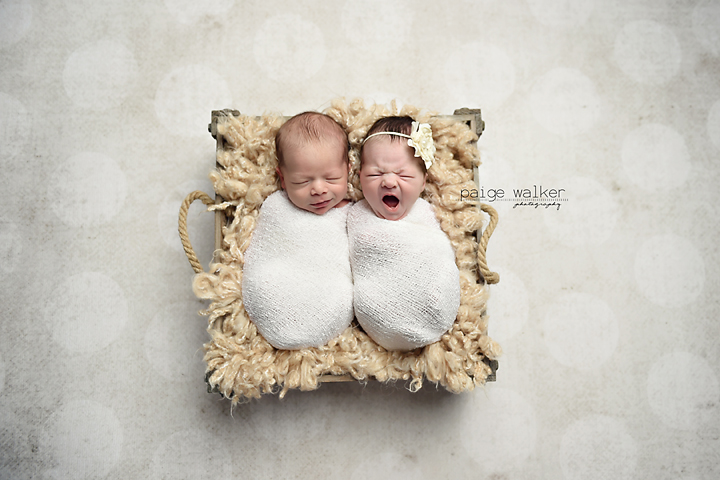 newborn-twin-photographers-fort-worth copy