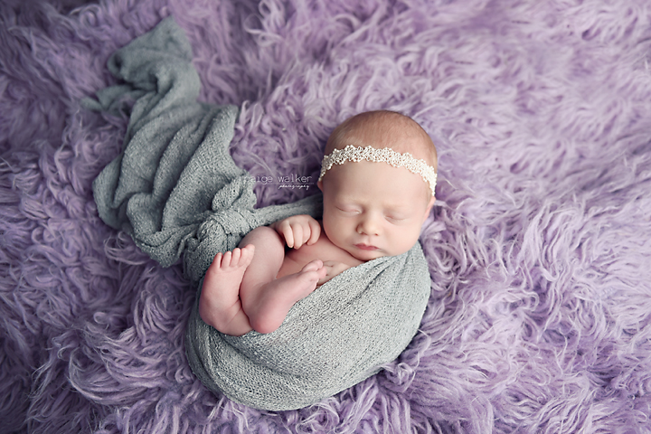 dfw-newborn-photographers copy