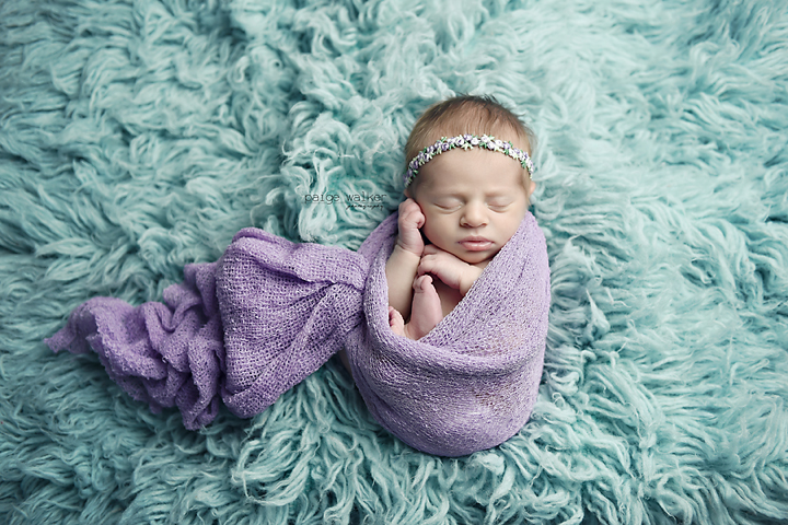 ft-worth-newborn-photographers copy