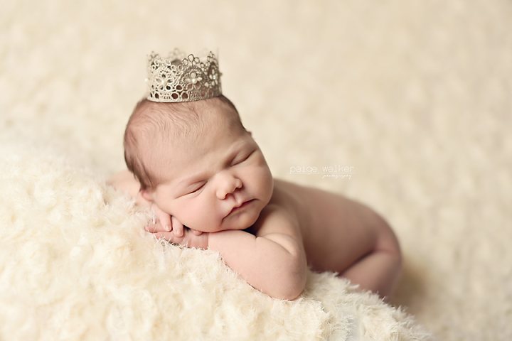 dallas-newborn-baby-photographers copy