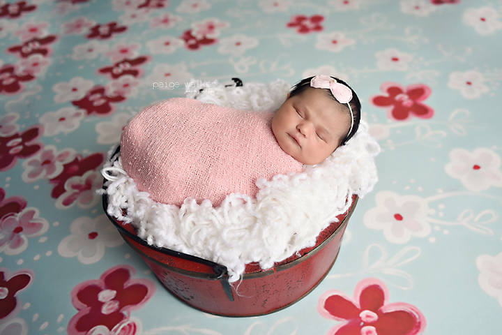 dallas newborn photographer copy