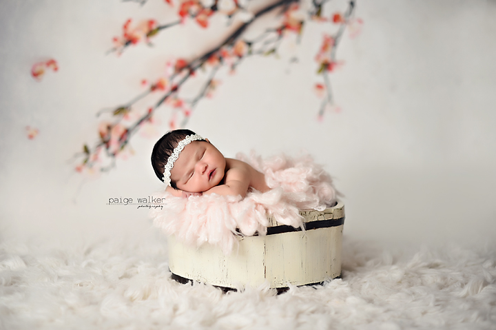 newborn photographer dallas copy