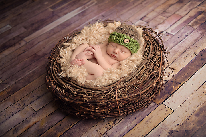 dallas-newborn-photography copy