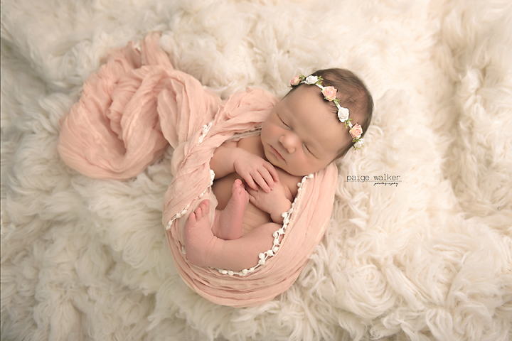 newborn-baby-photographers-dallas copy