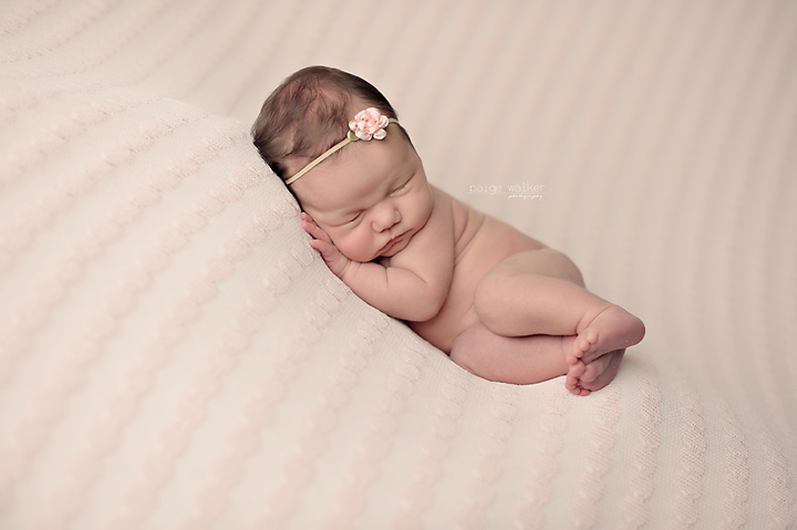newborn-baby-photographers-fort-worth copy