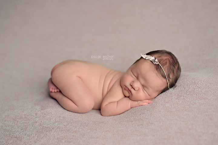 newborn-photography-studio-fort-worth copy