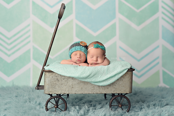 newborn-twin-photographer-dallas copy