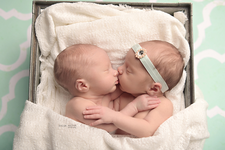 twin-newborn-photographer-fort-worth copy