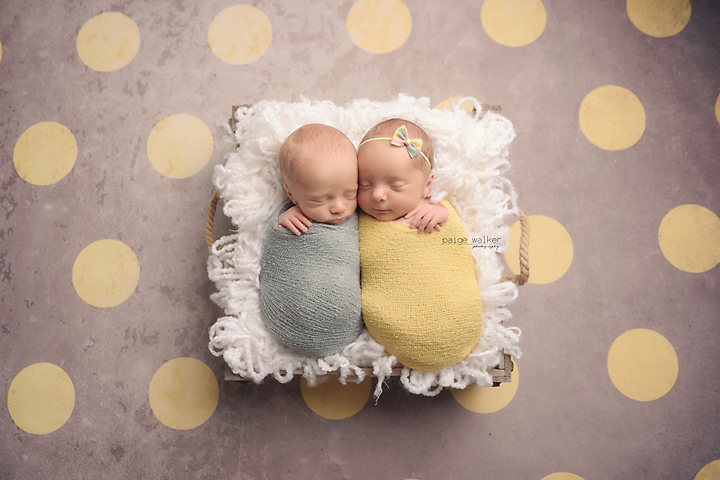 twin-newborn-photographers-fort-worth copy