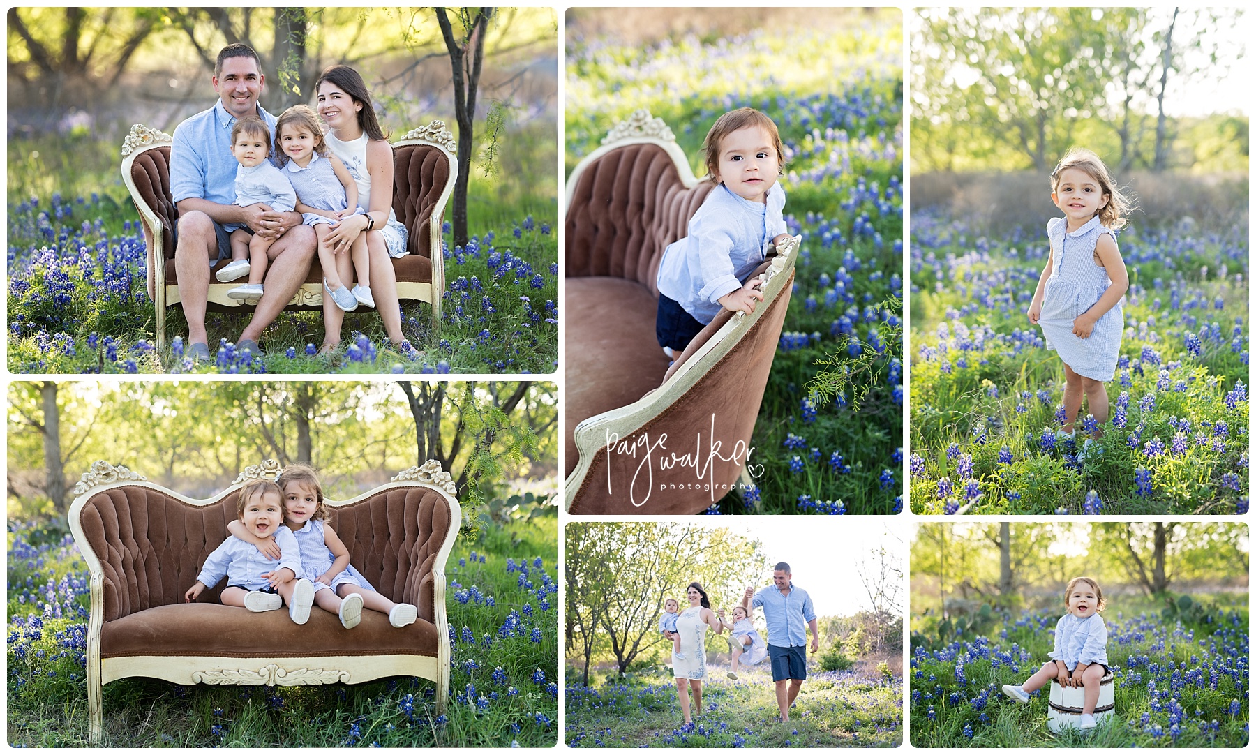 family of four in the bluebonnets