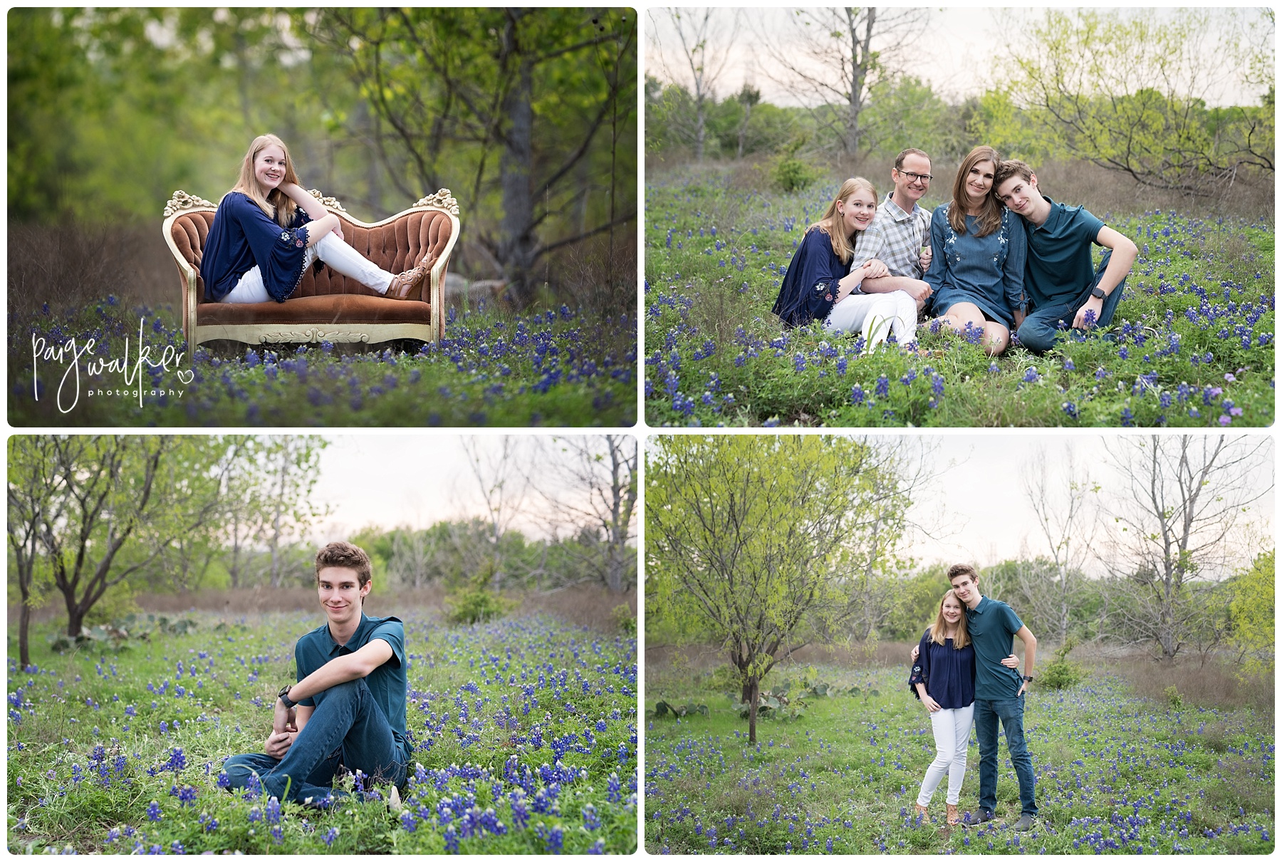 family of four sitting in bluebonnets