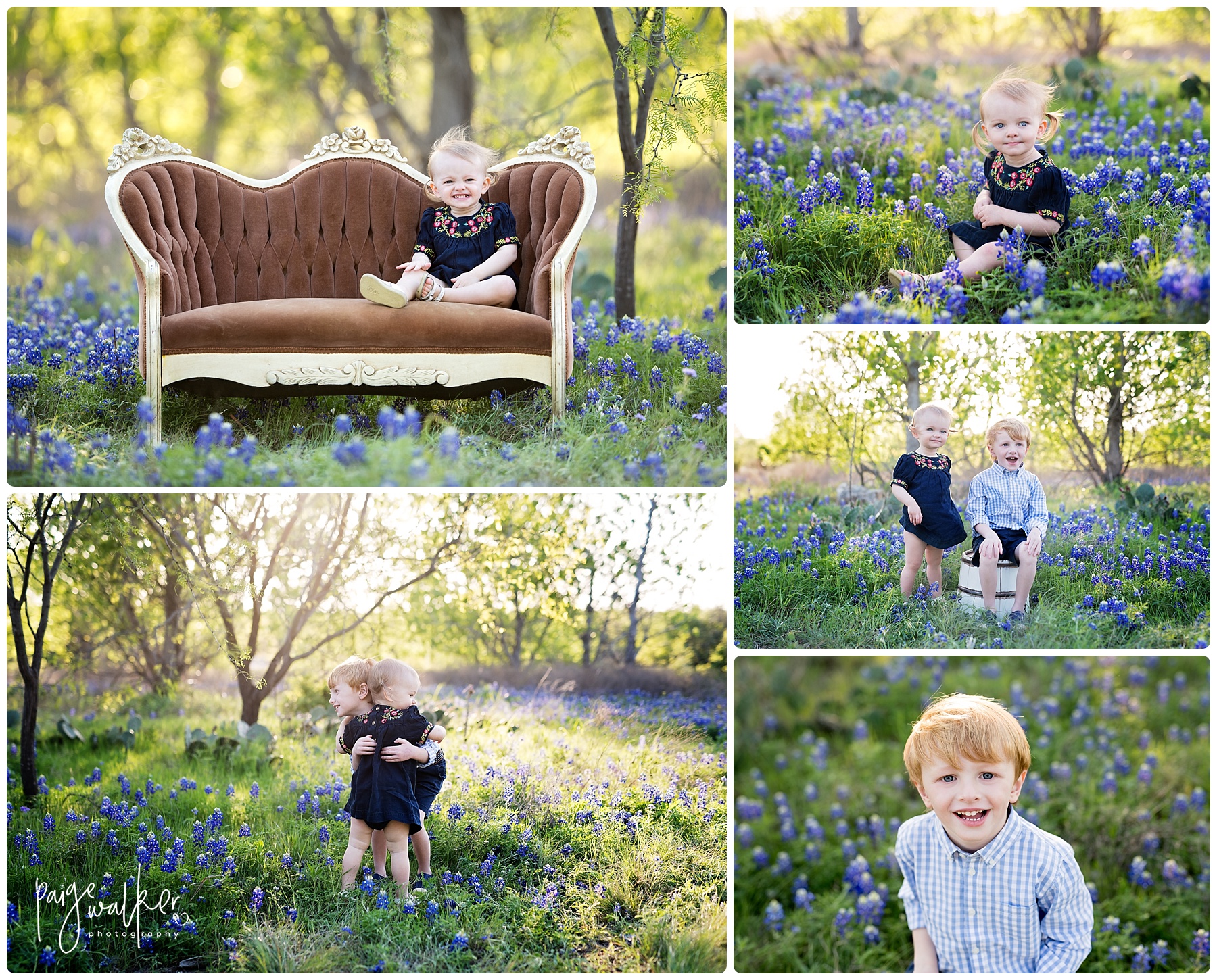 brother and sister sitting in bluebonnets
