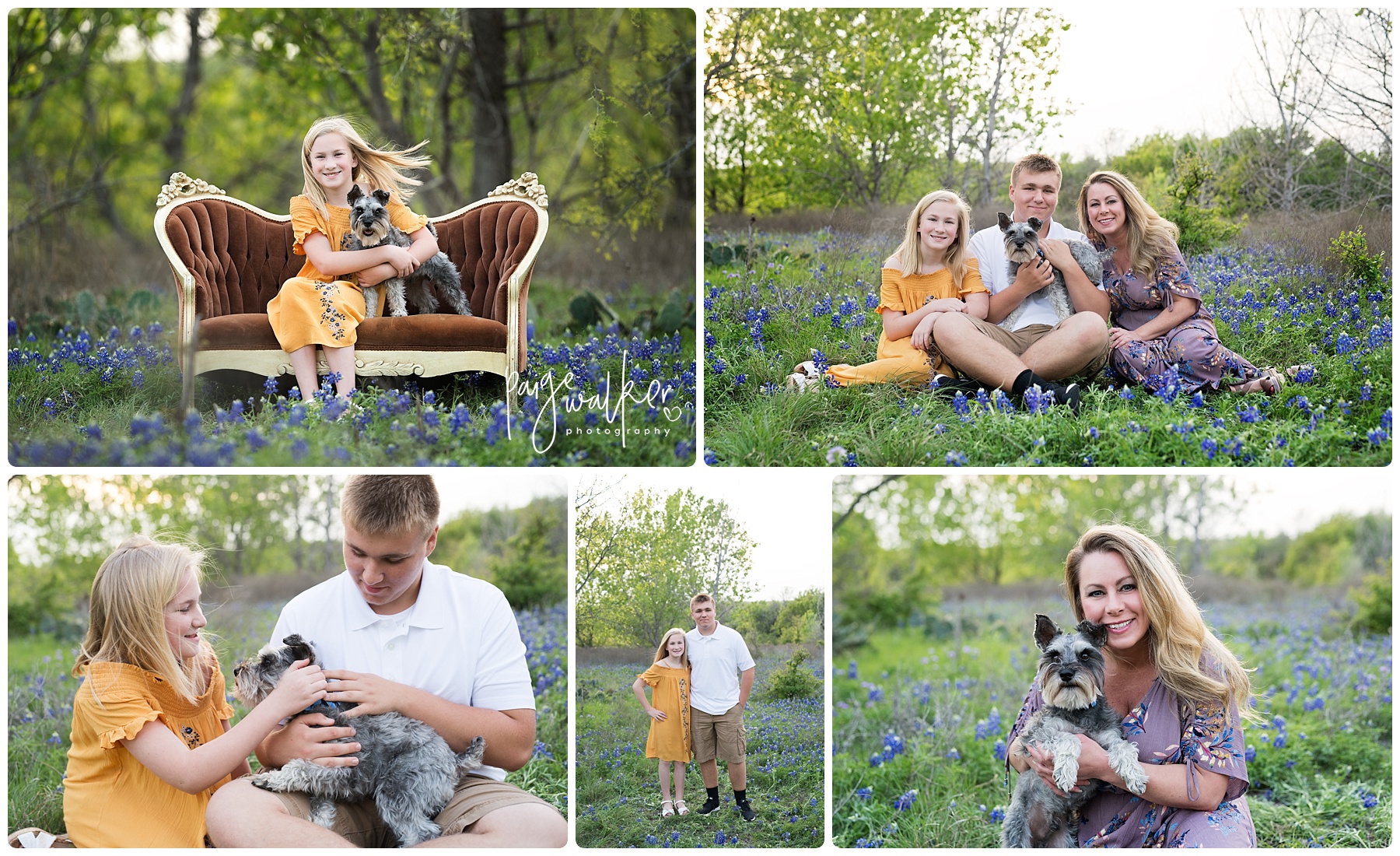 mom son and daughter sitting in bluebonnets with their puppy