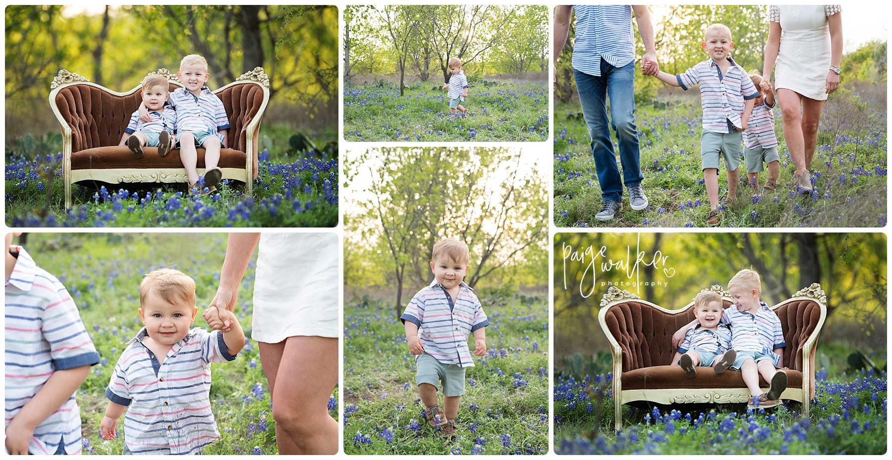 family of four sitting in bluebonnets
