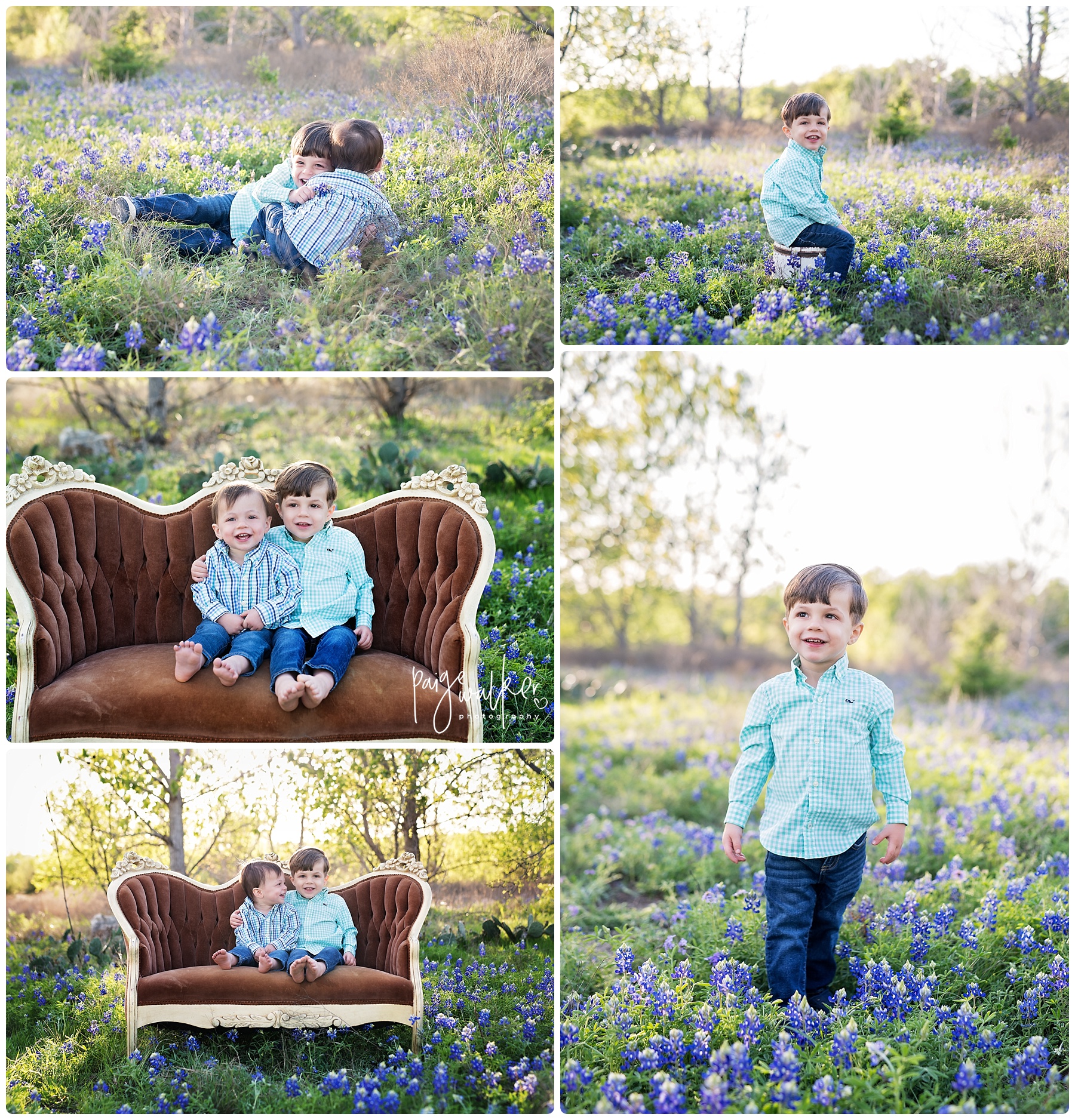 brothers on a couch in the bluebonnets