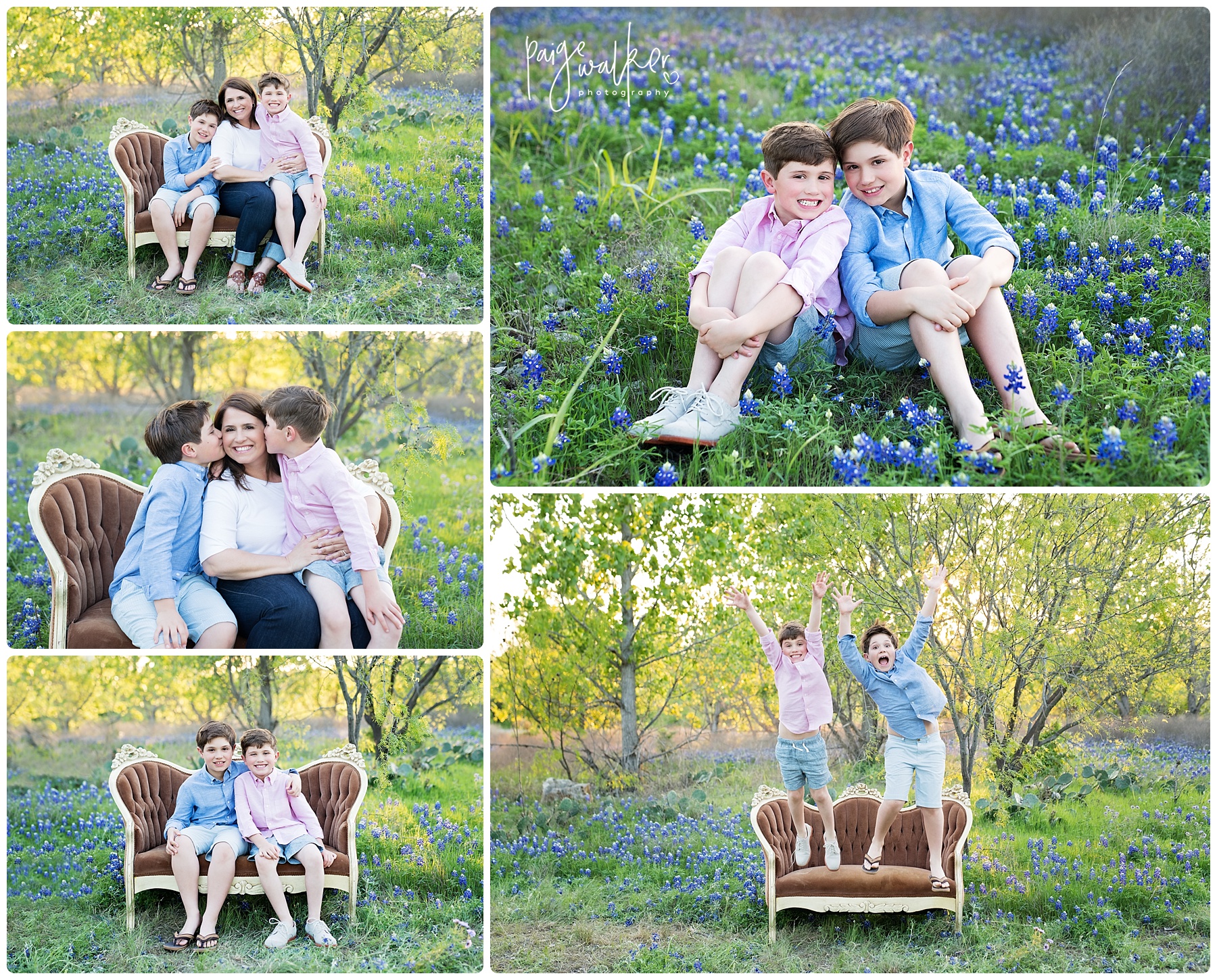 brothers sitting in the bluebonnets
