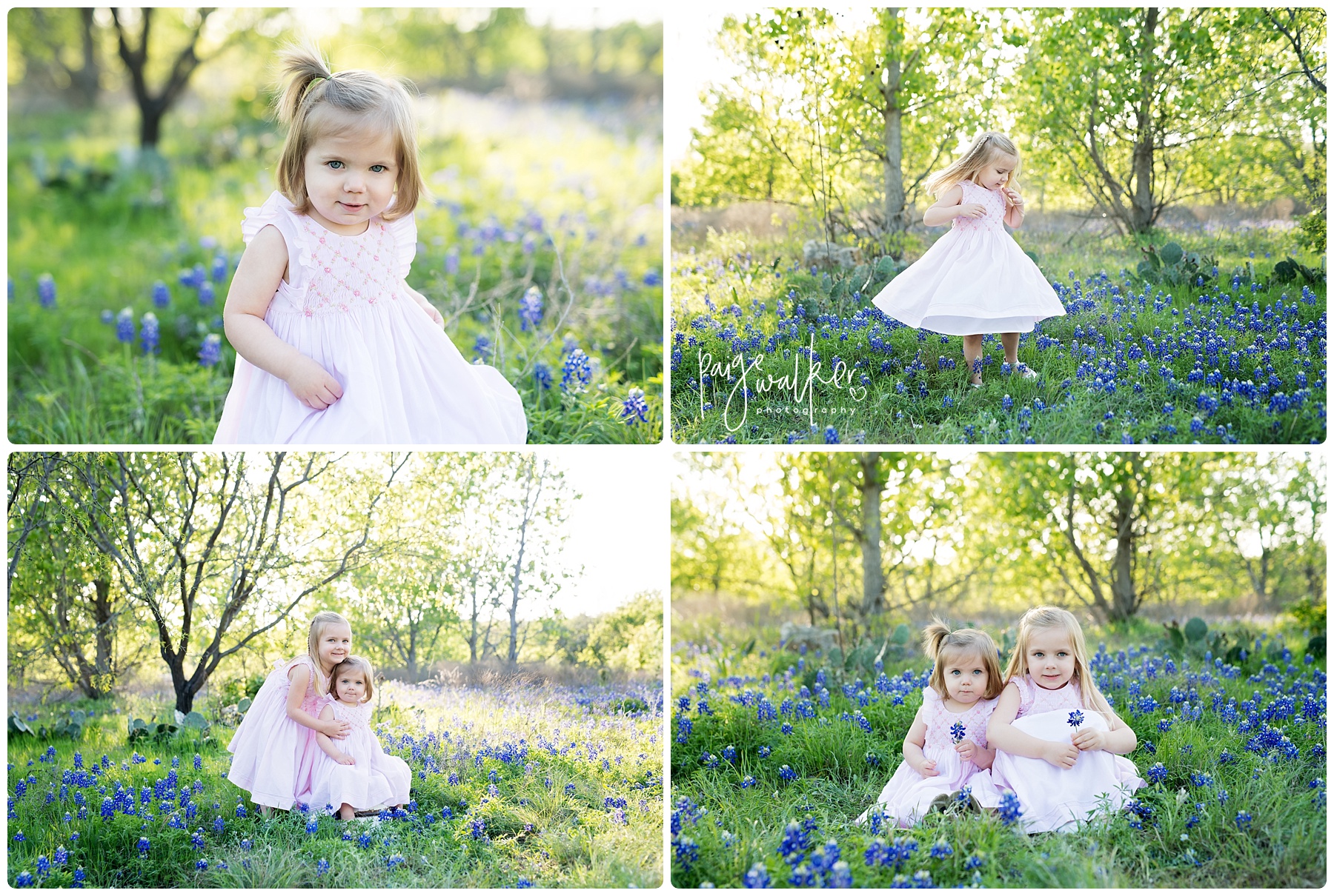 sisters sitting in the bluebonnets