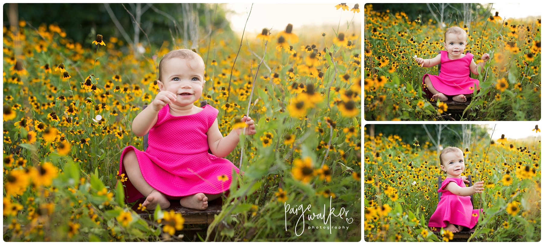 little girl sitting in the wildflowers 