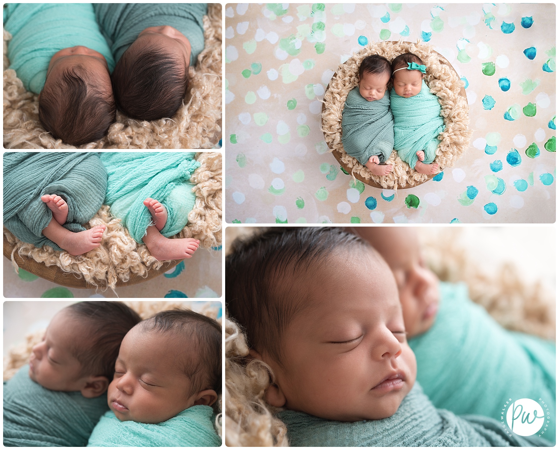Boy Girl Twin Newborn Photos Cheech Chong Paige Walker Photography