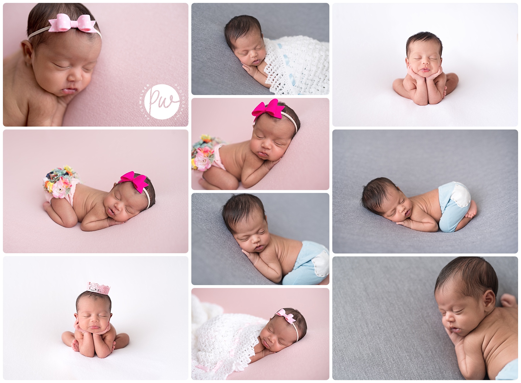 newborn babies posed individually