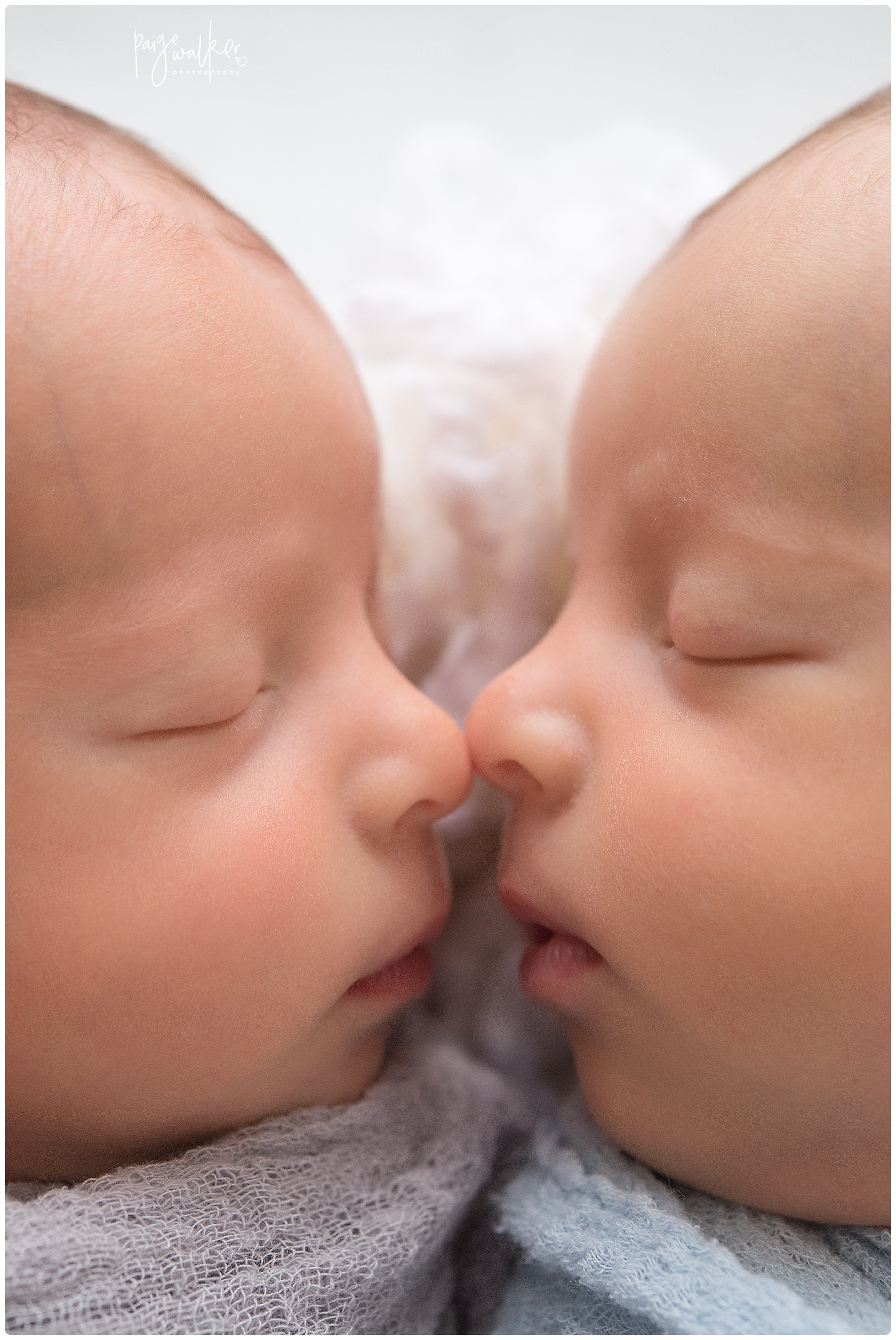 newborn twins touching noses