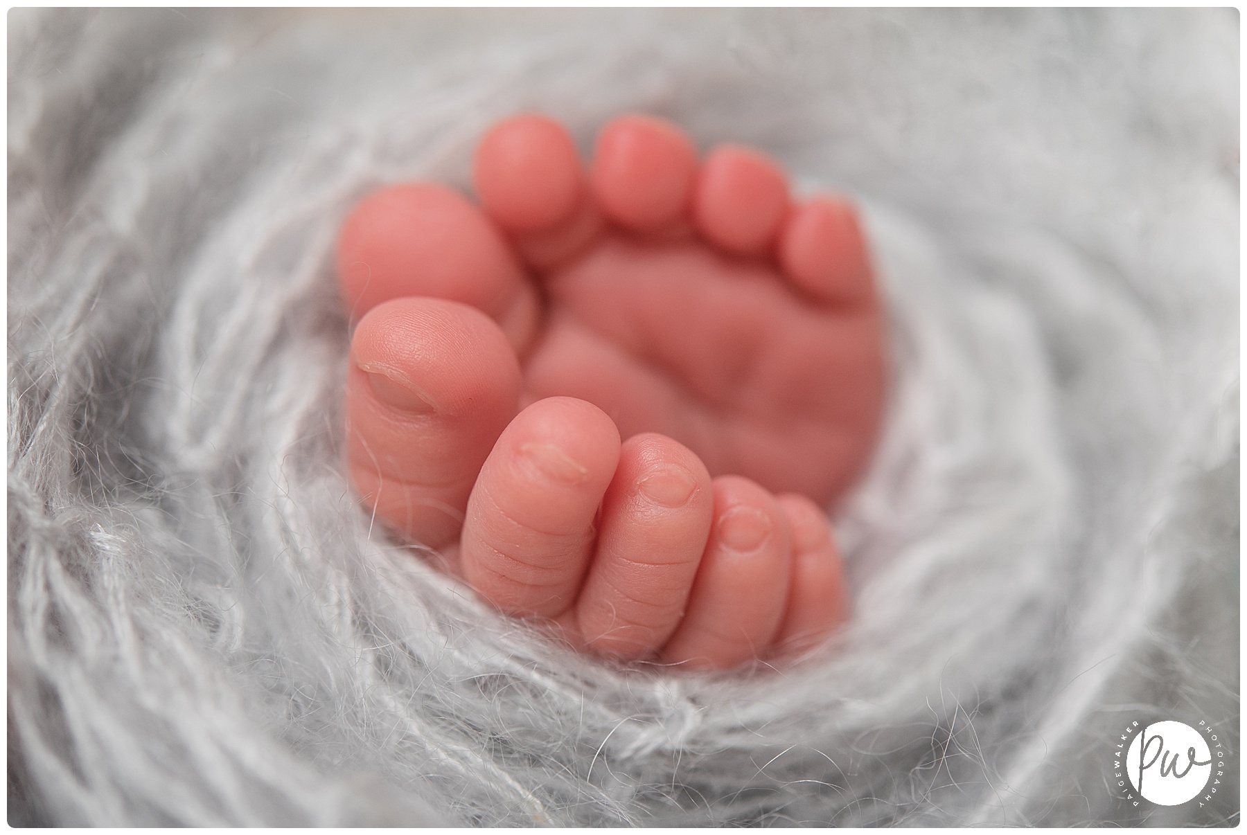 newborn baby toes wrapped up