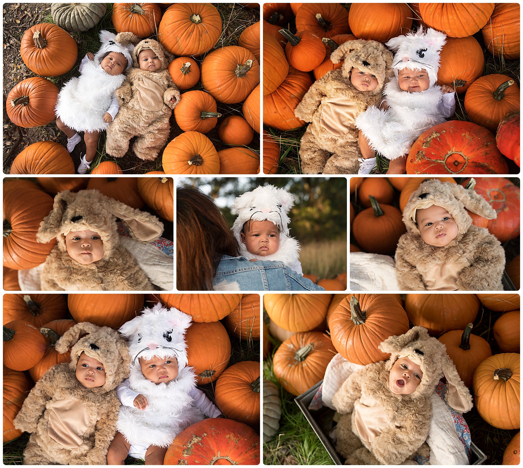 twin babies in their halloween costumes in the pumpkins