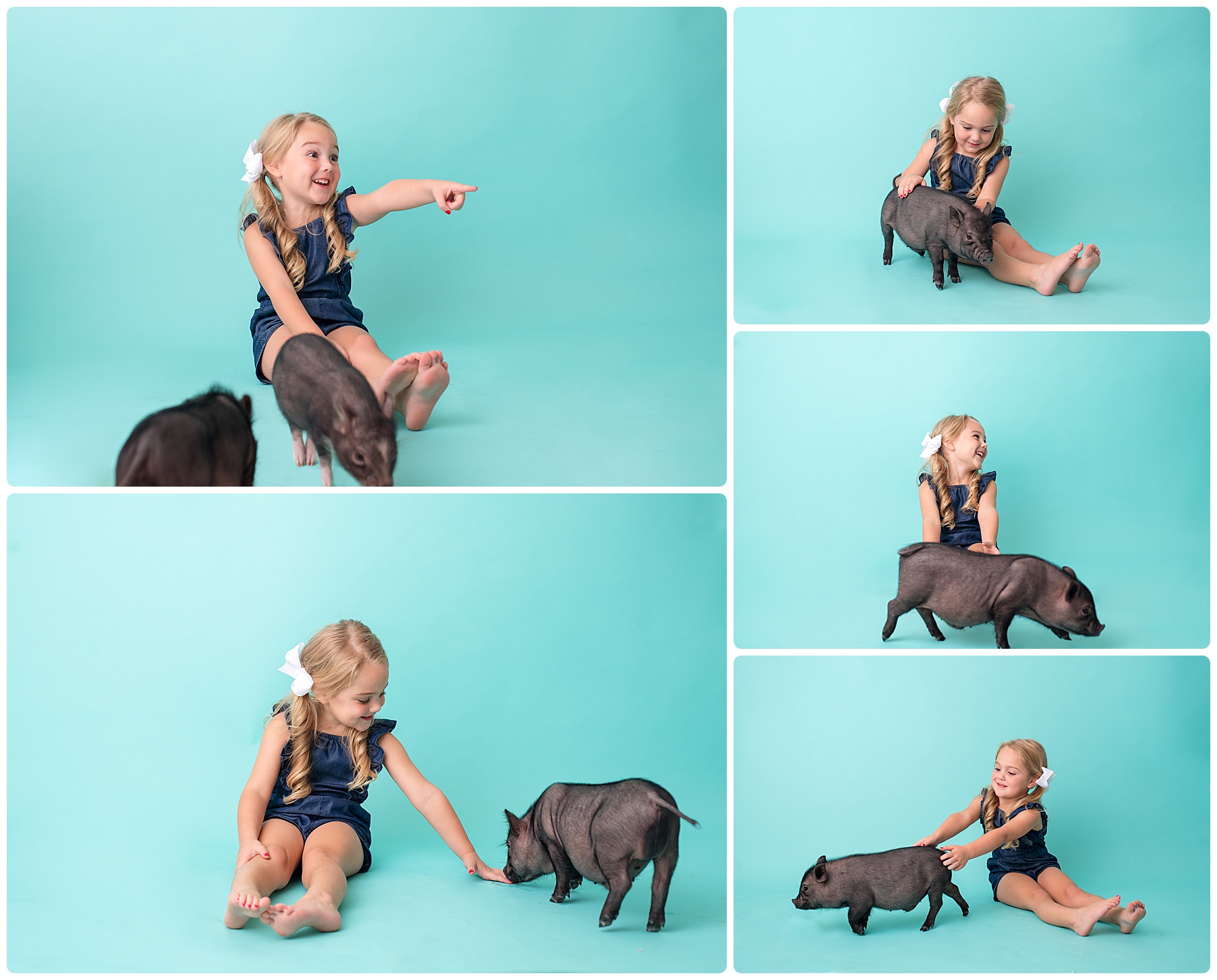 little girl playing with little pigs