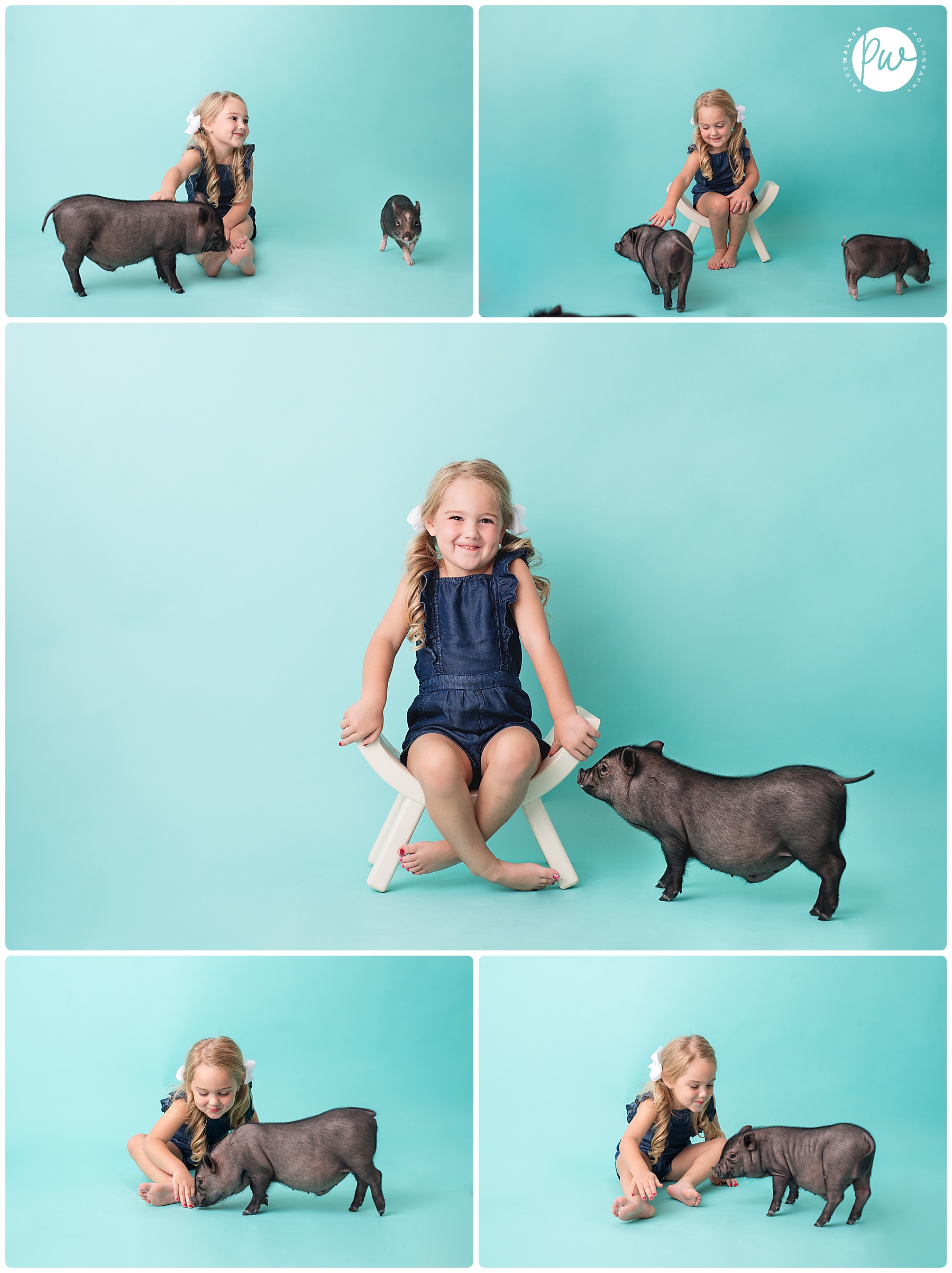 little girl surrounded by little pigs in the studio