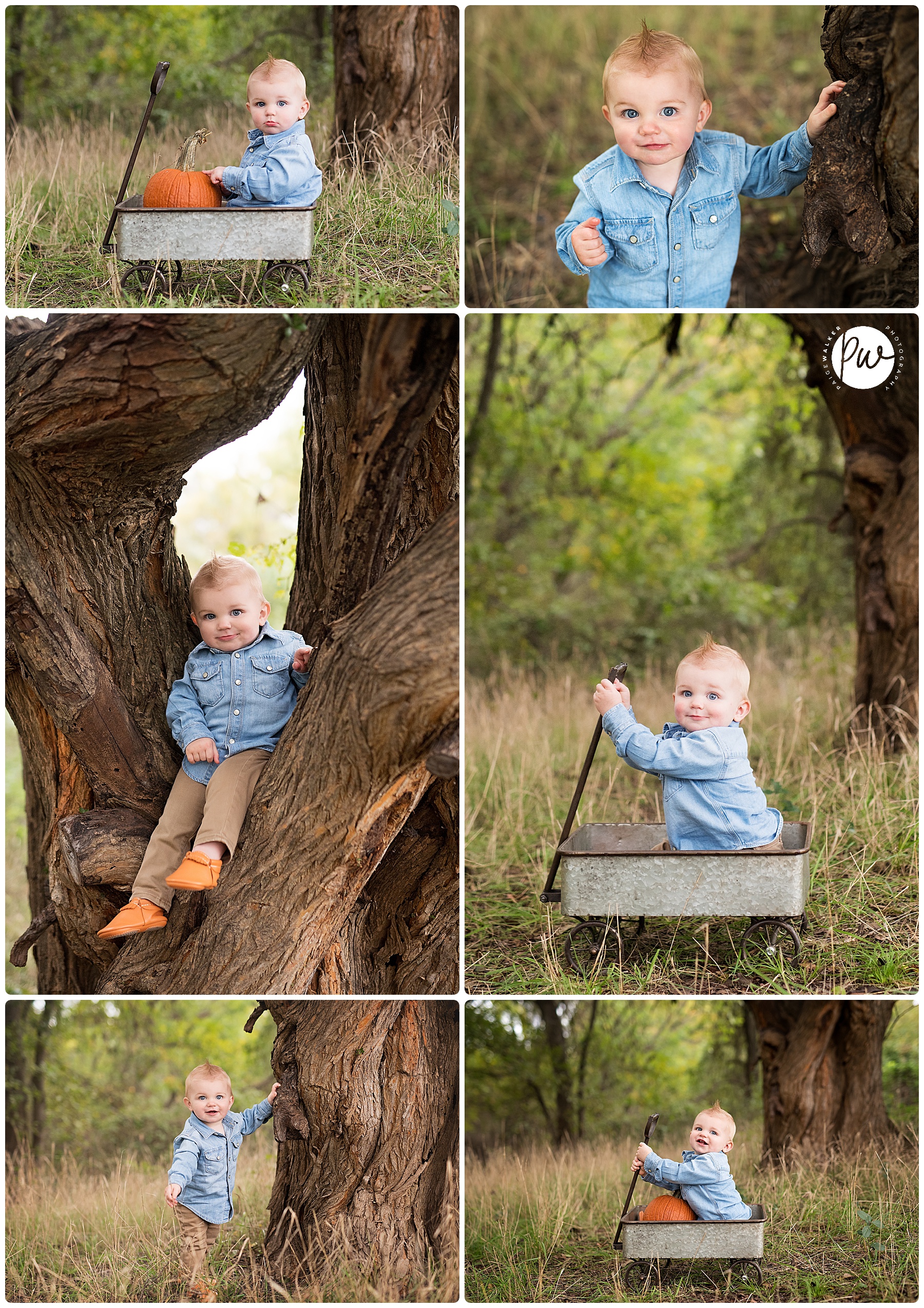 one year old boy sitting in a tree